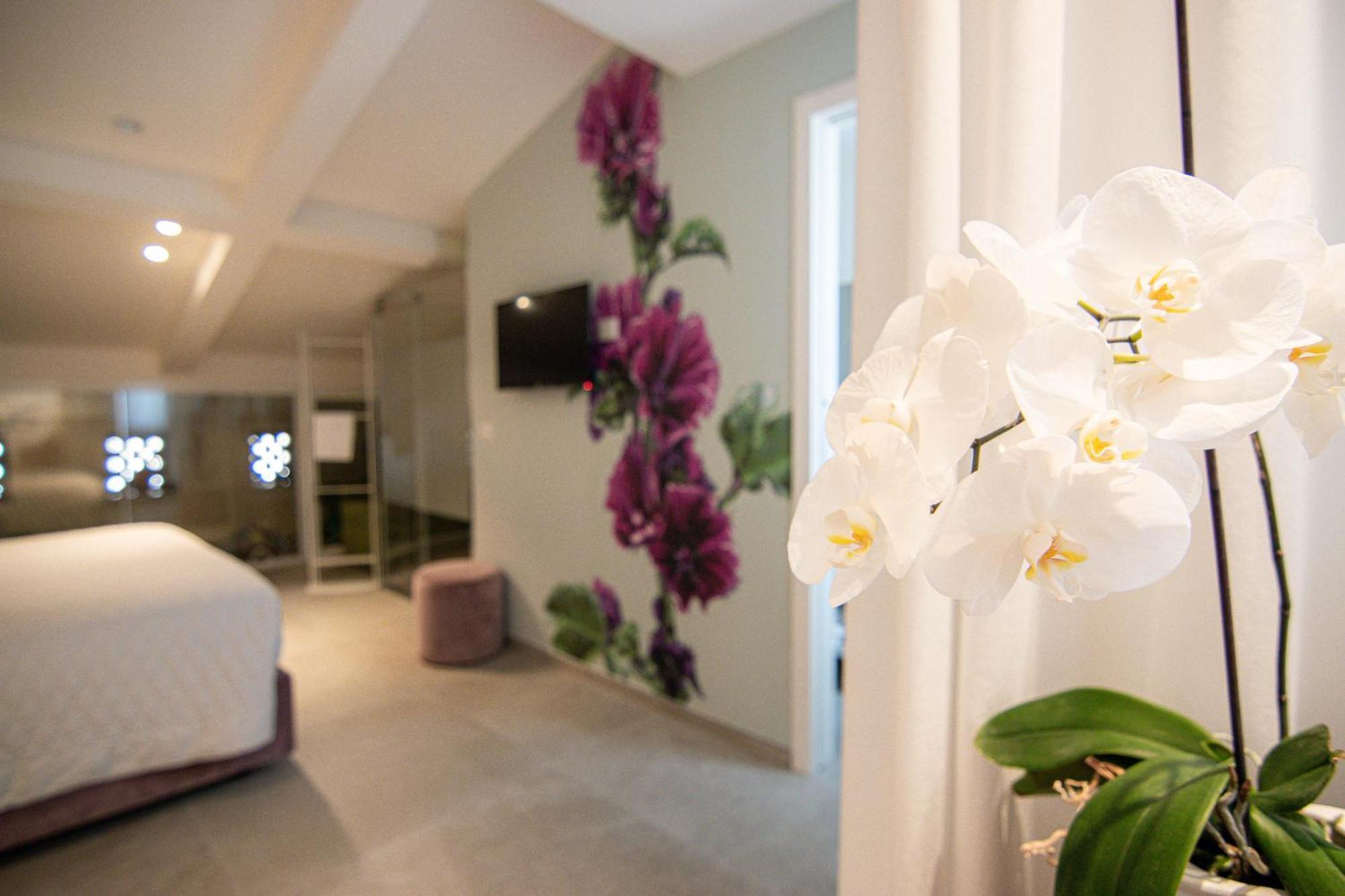 Profumi Di Primavera Luxury Rooms & Suite Матера Екстериор снимка
